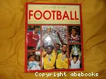 Le livre d'or du football 1994