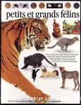 Petits et grands félins