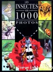 Les insectes en 1000 photos