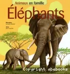 Eléphants