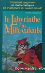 Le labyrinthe aux mille calculs