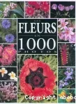 Les fleurs en 1000 photos