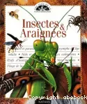 Insectes et araignées