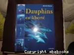 Dauphins en liberté