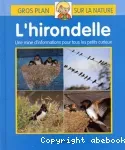 L'hirondelle